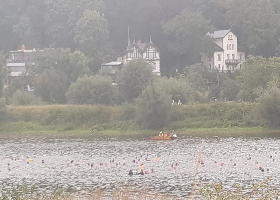 ElbeSchwimmen am 06.08.2023